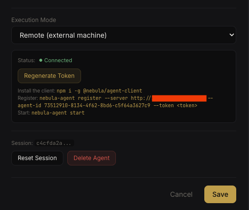 Remote execution setup with token and instructions
