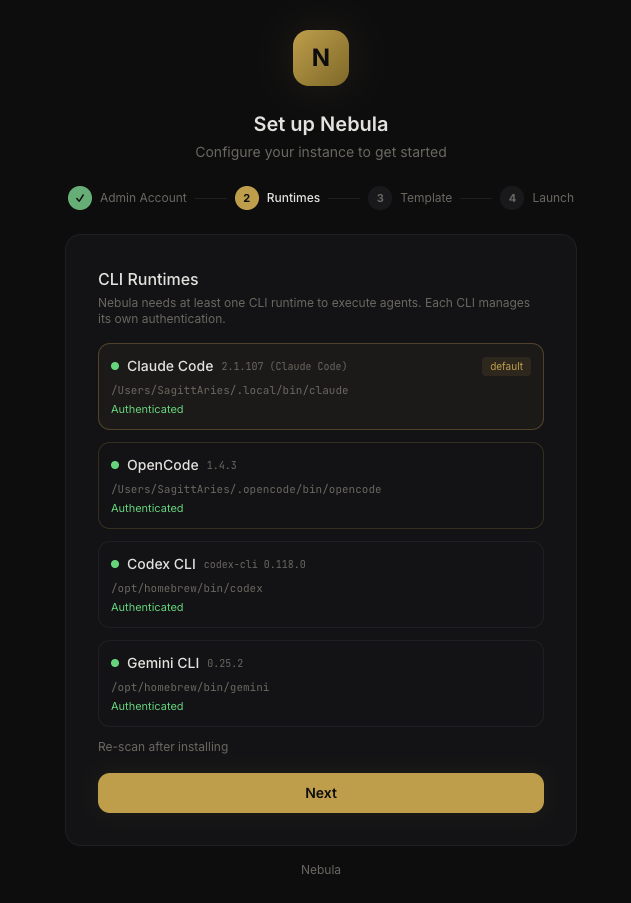 Setup wizard — runtime detection